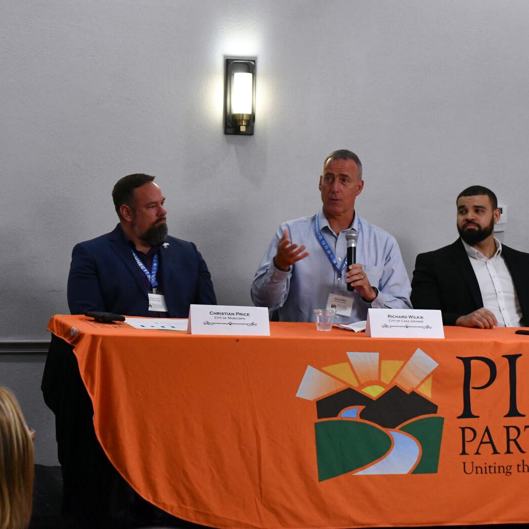 Pinal Partnership panel